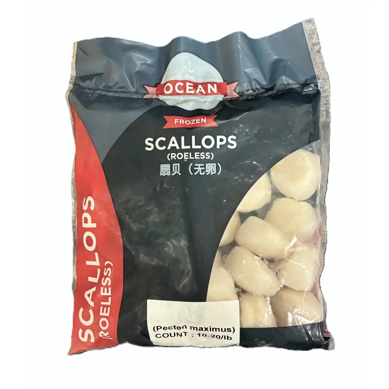 OCEAN DELUXE IQF Roeless King Scallop Meat (L - 10/20) 700g net